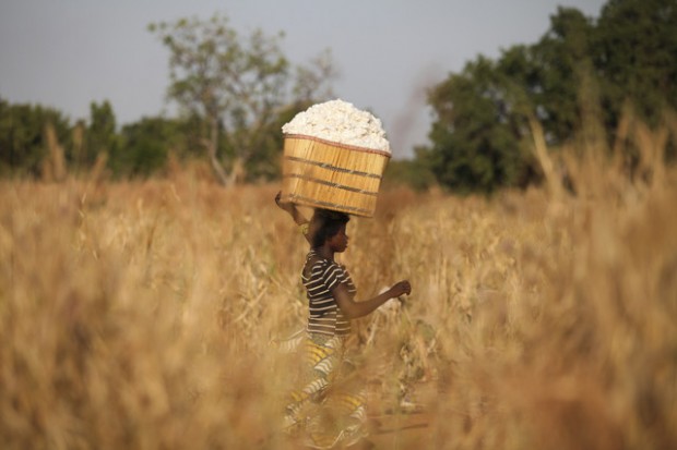 Victoria’s Secret investigation reveals need for stronger supply-chain slavery regulations