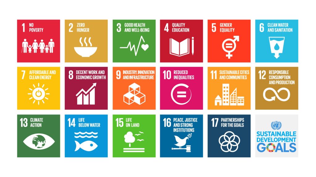 sustainable development goals infographic un
