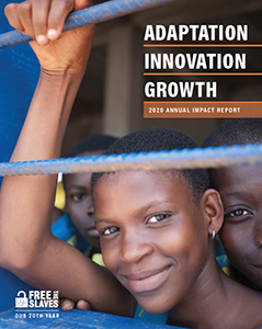2020 Annual Impact Report: Adaptation, Innovation and Growth